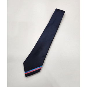 LOUIS VUITTON 루이비통 LV로고 에피 실크 넥타이